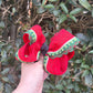 Watermelon Bow