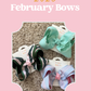 Subscription Box